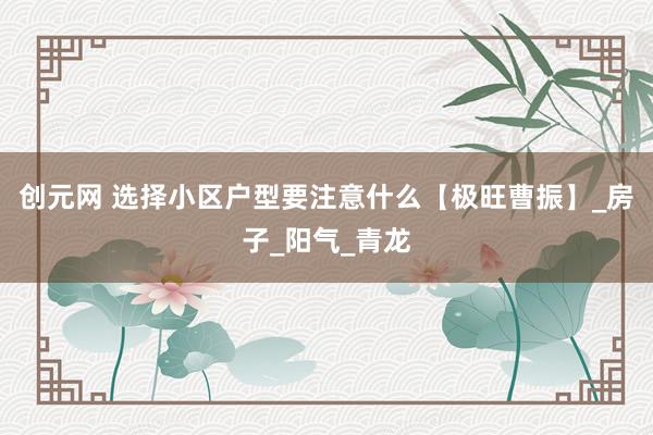 创元网 选择小区户型要注意什么【极旺曹振】_房子_阳气_青龙