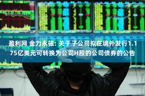 盈利网 金力永磁: 关于子公司拟在境外发行1.175亿美元可转换为公司H股的公司债券的公告
