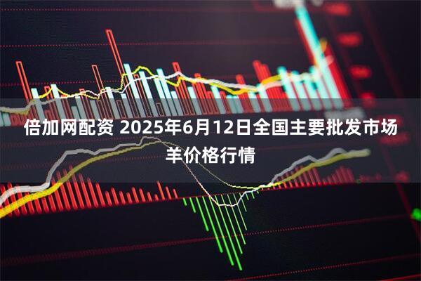 倍加网配资 2025年6月12日全国主要批发市场羊价格行情