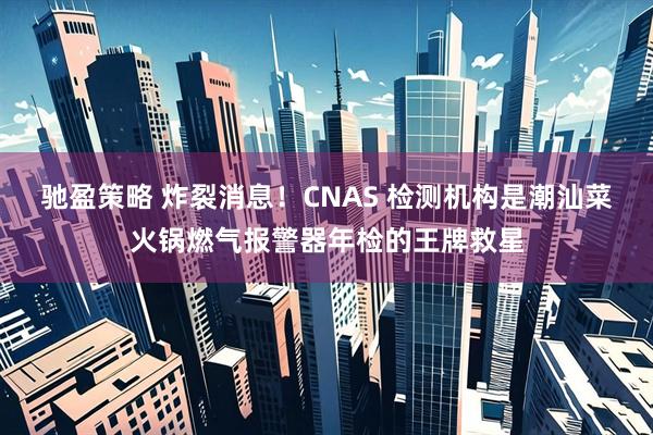 驰盈策略 炸裂消息！CNAS 检测机构是潮汕菜火锅燃气报警器年检的王牌救星